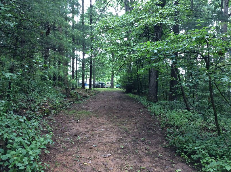 2014-08-01 10.11.57